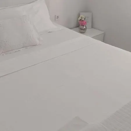 Apartment Luxurios And Historic 